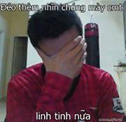 ảnh troll comment facebook